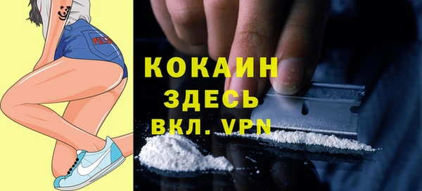 стаф Абаза