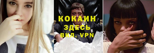 стаф Абаза