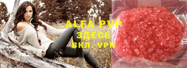 стаф Абаза