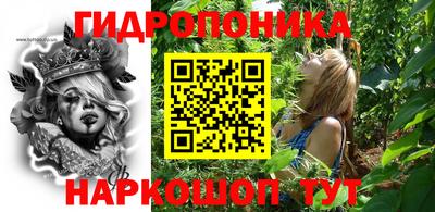 гидропоника Краснознаменск