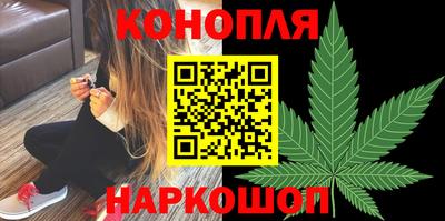 гидропоника Краснознаменск