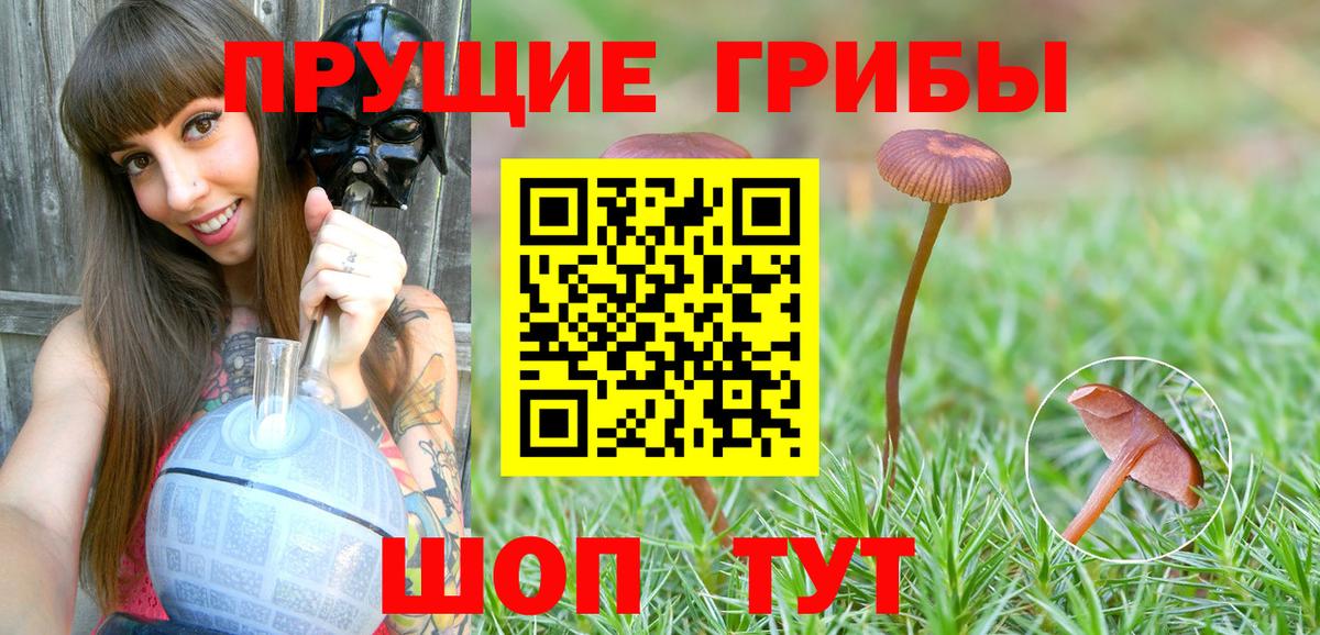 Галлюциногенные грибы GOLDEN TEACHER  Вход с VPN  Карпинск 